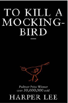 To Kill a mocking bird book